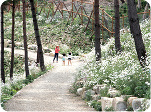 동의보감허준순례길 입니다.