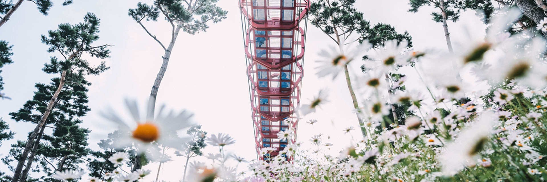 산청 동의보감촌