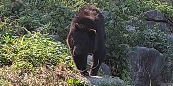 지리산반달가슴곰생태학습장